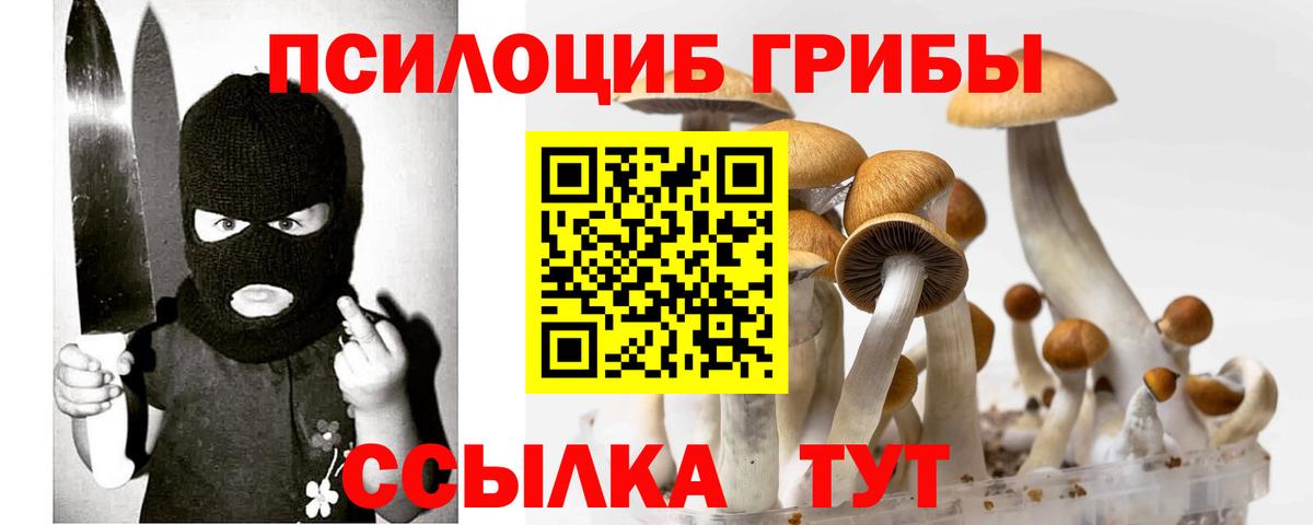 Углич  Галлюциногенные грибы MAGIC MUSHROOMS  Псилоцибиновые грибы Psilocybe  Вход с VPN 